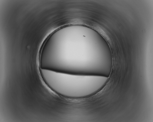 X0000088431084200705220849