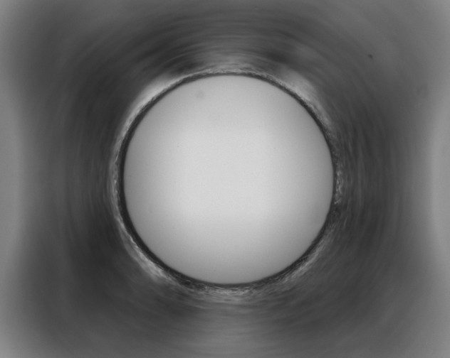 X0000088431086200705220849