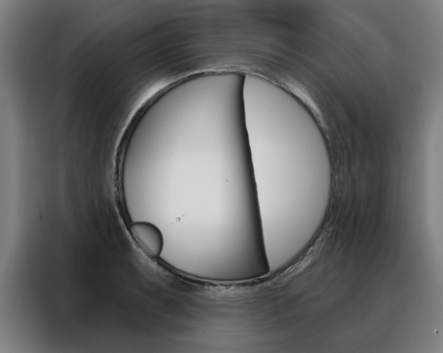 X0000088431087200705220849