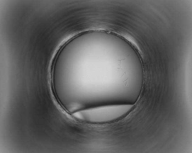 X0000088431088200705220849