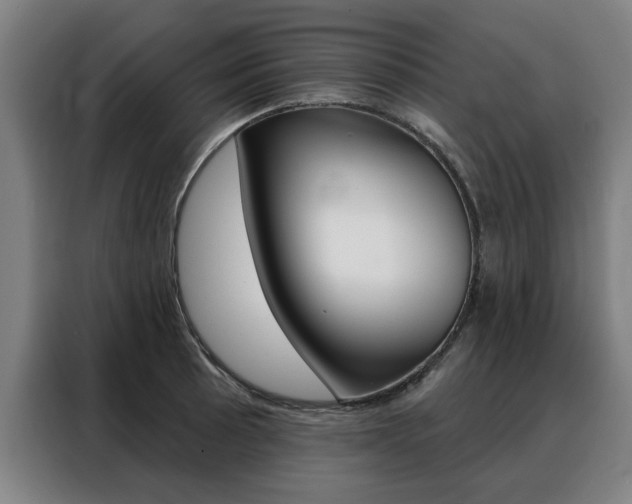 X0000088431089200705220849