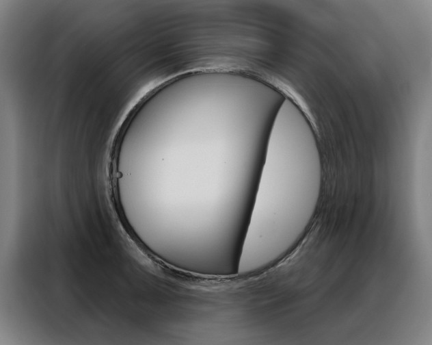 X0000088431091200705220849