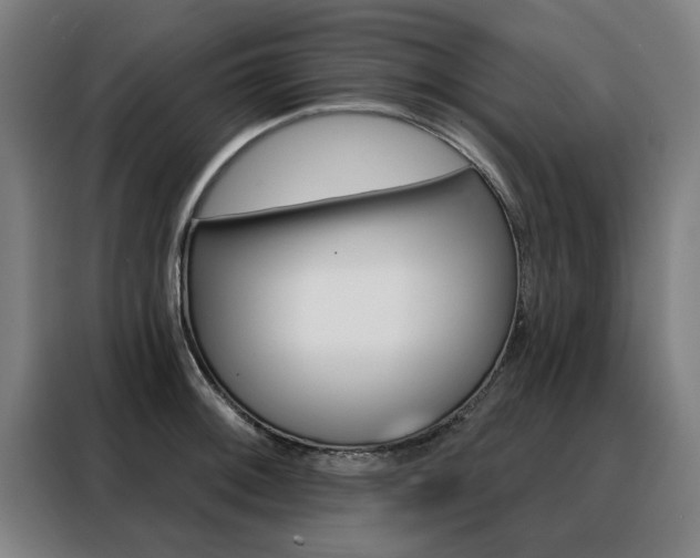 X0000088431092200705220849