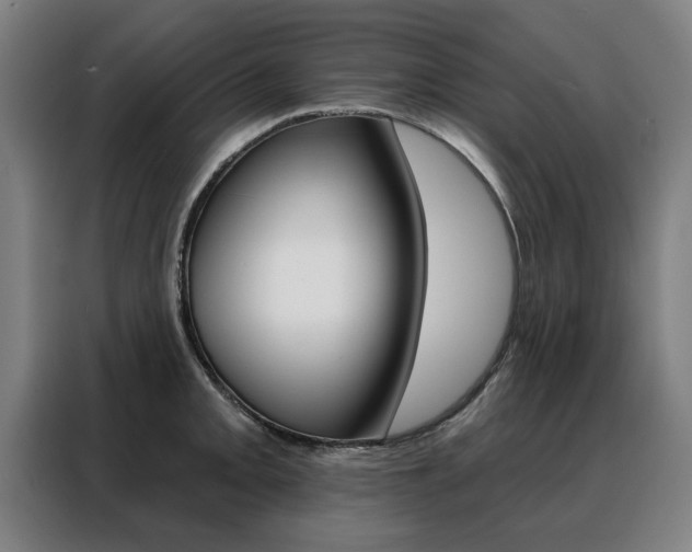 X0000088431093200705220849
