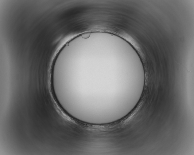 X0000088431094200705220849