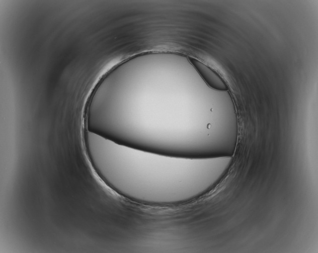 X0000088431095200705220849