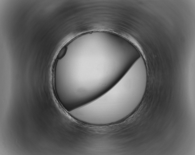 X0000088431096200705220849