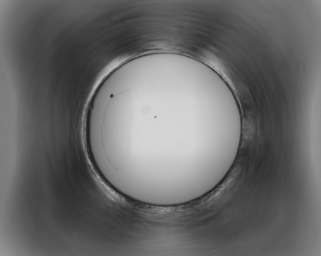 X0000088431098200705220849