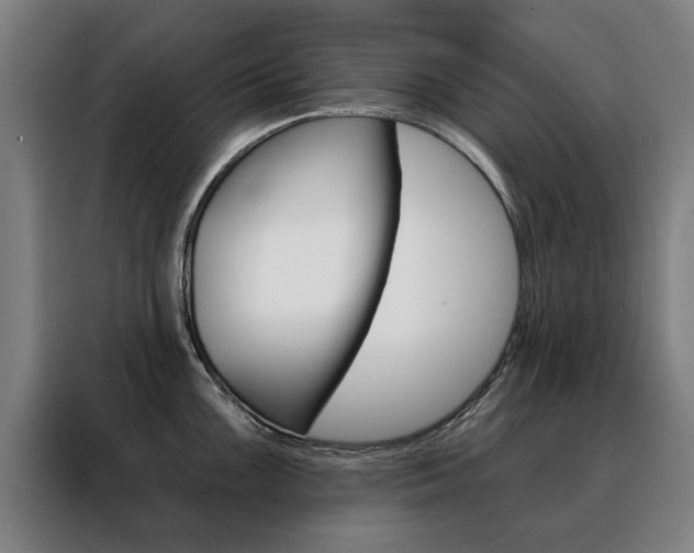 X0000088431099200705220849