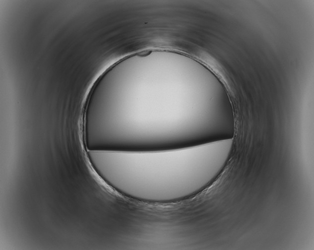 X0000088431100200705220849