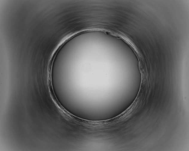 X0000088431101200705220849