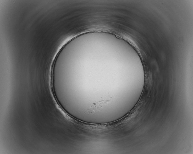 X0000088431103200705220849