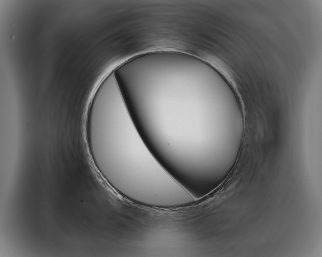 X0000088431104200705220849