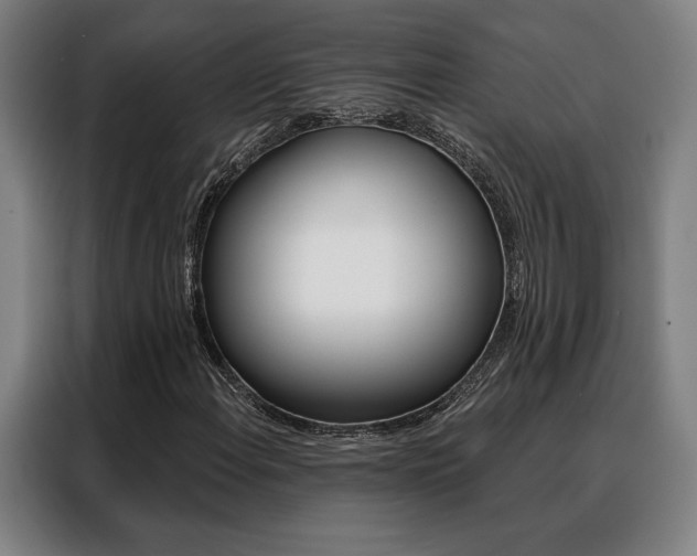 X0000088431108200705220848