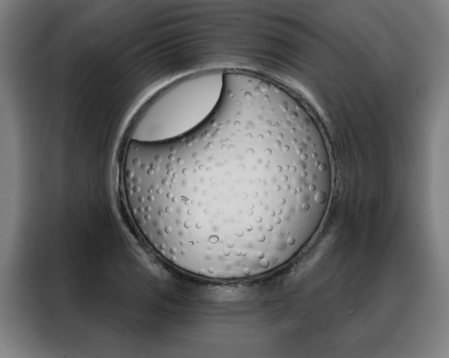X0000088431125200705220848