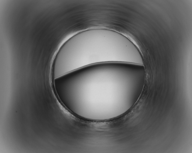 X0000088431143200705220848
