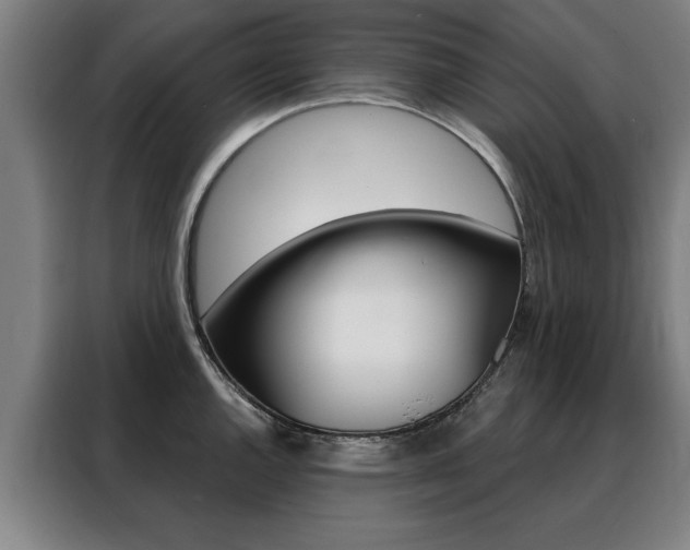 X0000088431144200705220848