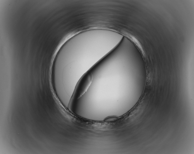 X0000088431146200705220848