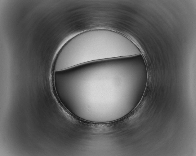 X0000088431149200705220849