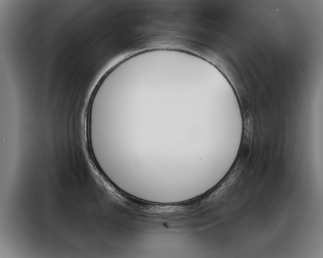 X0000088431150200705220849
