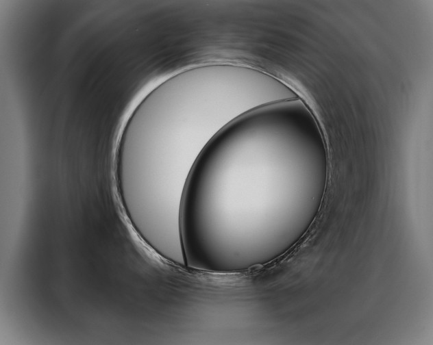 X0000088431152200705220849