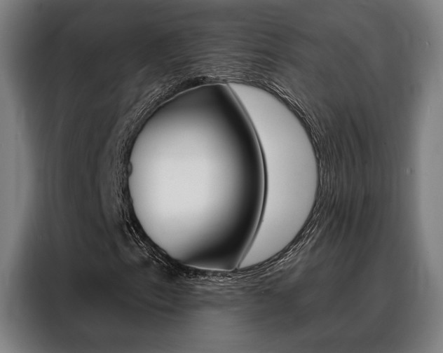 X0000088431153200705220848