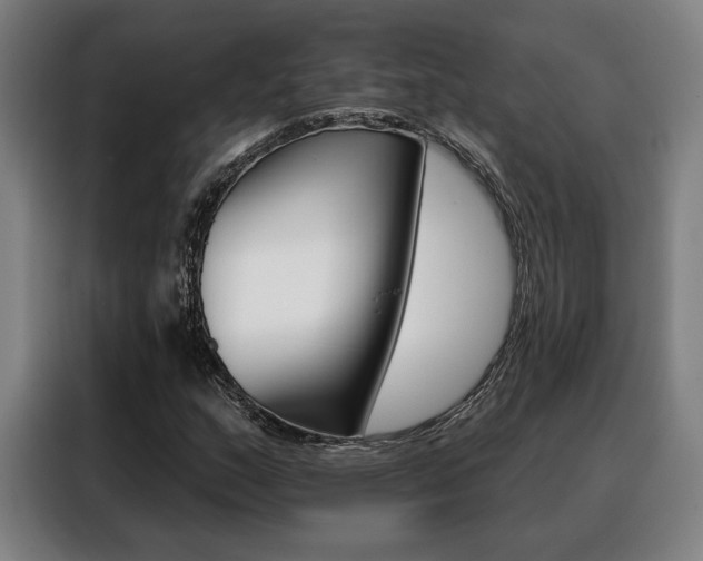 X0000088431159200705220848