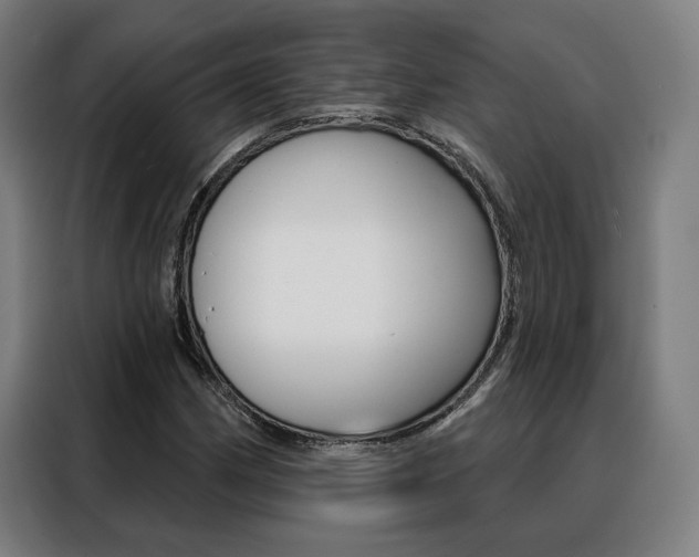 X0000088431162200705220848