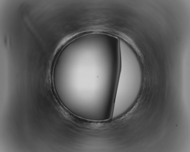 X0000088431176200705220848