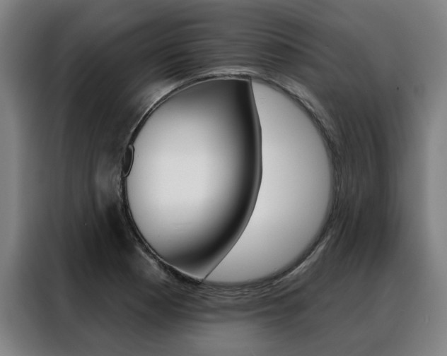 X0000088431177200705220848