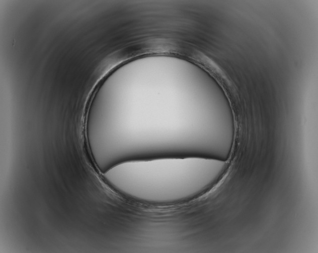 X0000088431178200705220848
