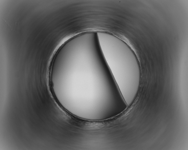 X0000088431187200705220847
