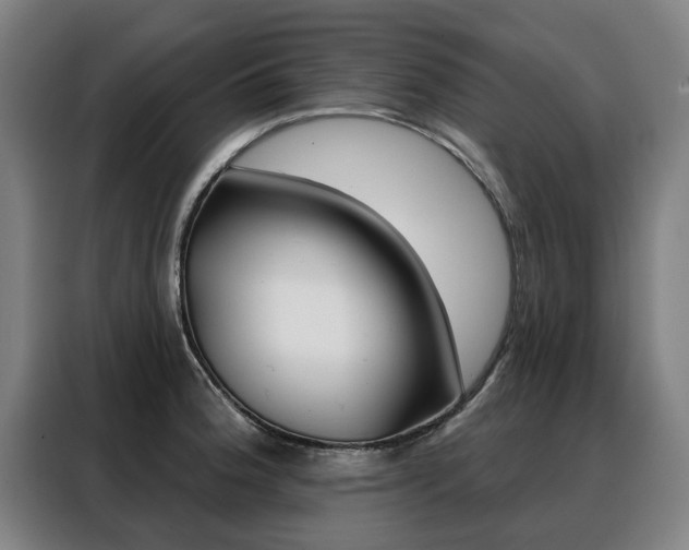X0000088431188200705220847