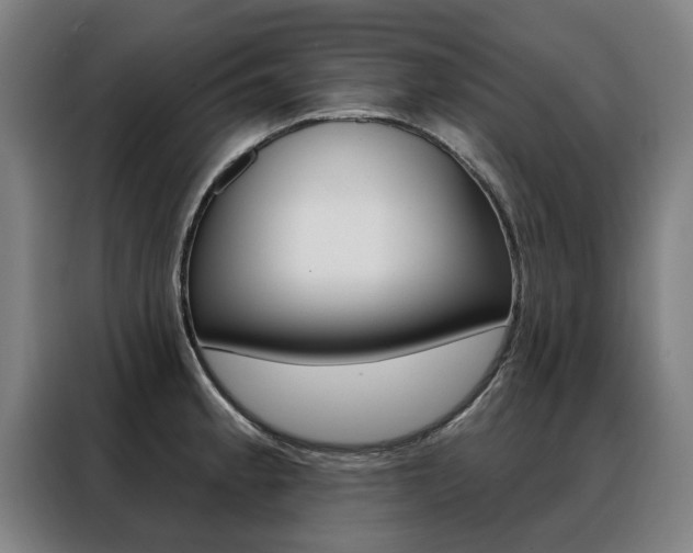 X0000088431189200705220847