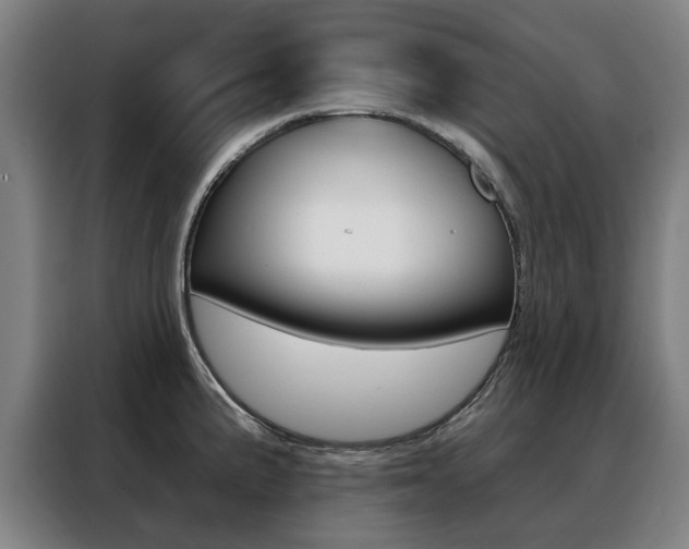 X0000088431191200705220847