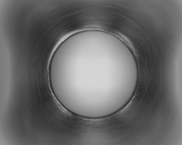 X0000088431192200705220847