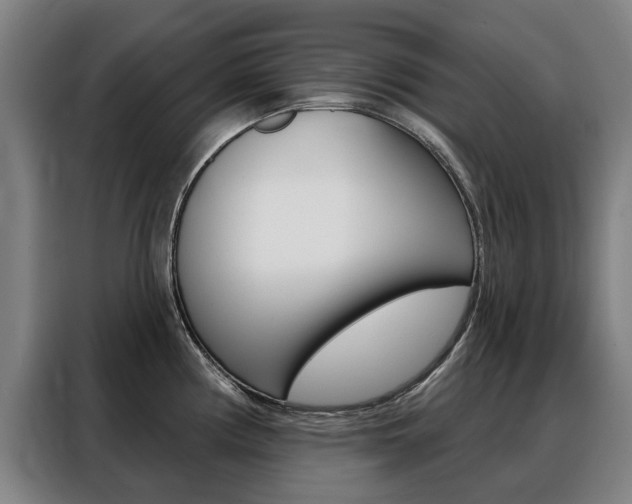 X0000088431194200705220847