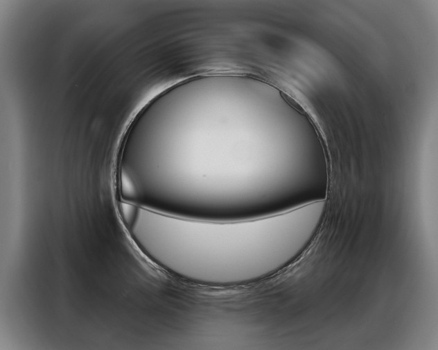 X0000088431195200705220847