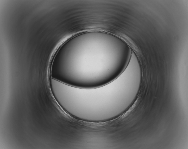 X0000088431196200705220847