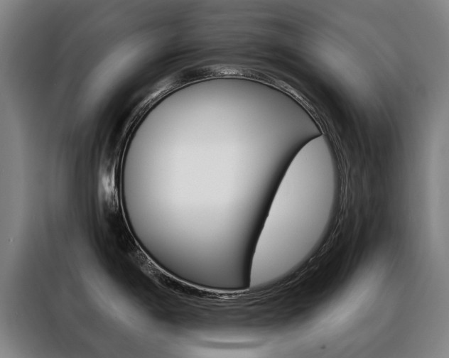 X0000088431198200705220847