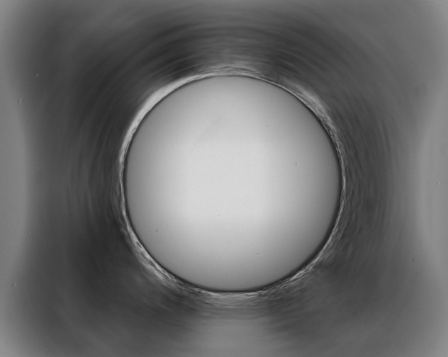 X0000088431200200705220847