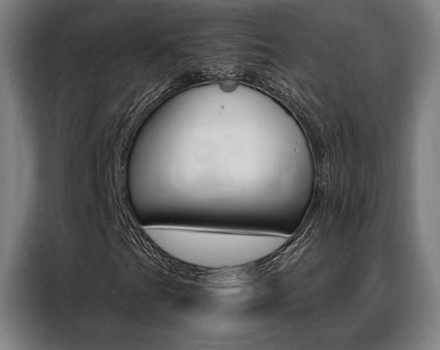 X0000088431201200705220847