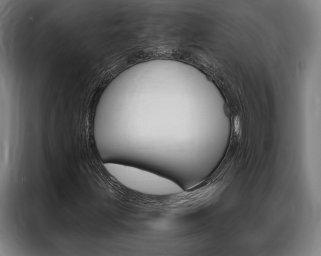 X0000088431203200705220847