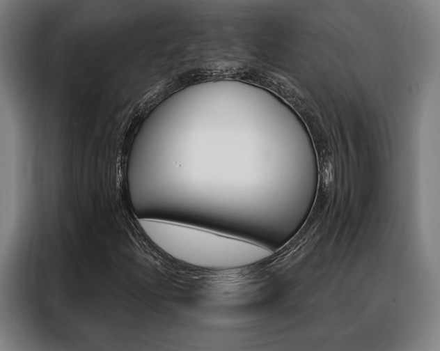 X0000088431204200705220847