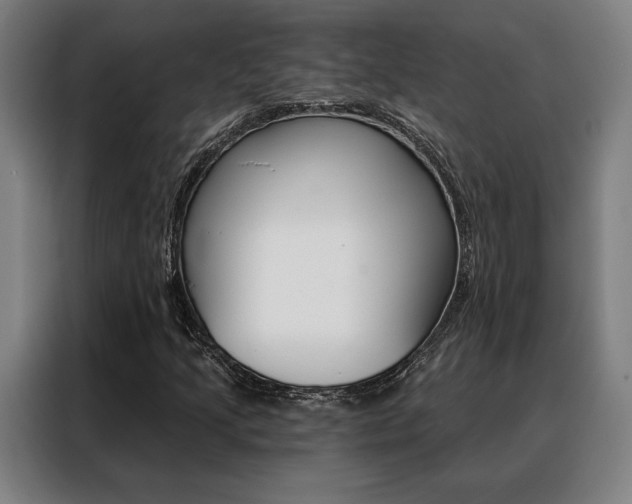 X0000088431205200705220847