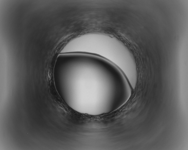 X0000088431206200705220847