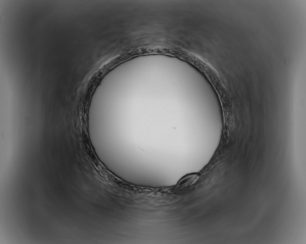 X0000088431207200705220847