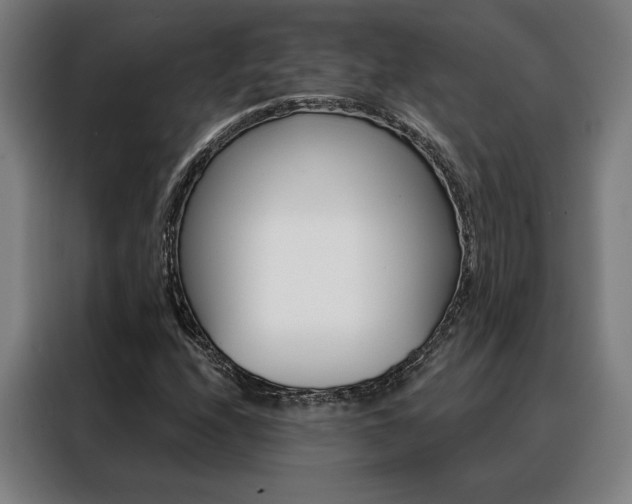 X0000088431208200705220847
