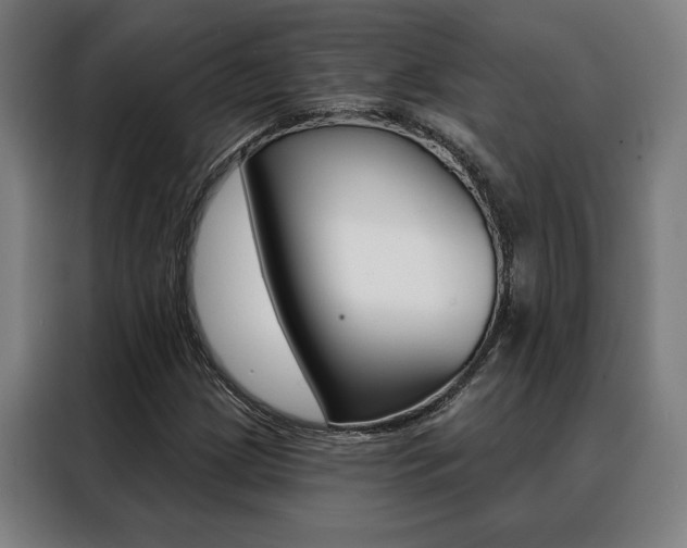 X0000088431209200705220847