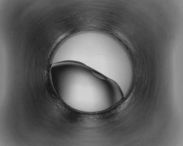X0000088431210200705220847